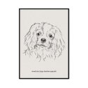 plakat w ramie pies cavalier spaniel