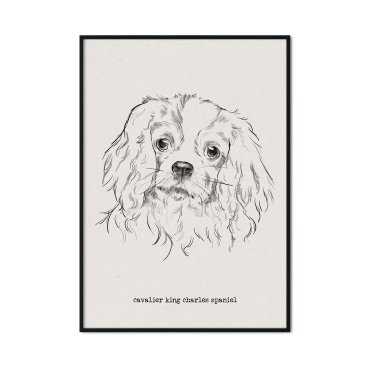 plakat w ramie pies cavalier spaniel