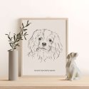 pies cavalier spaniel