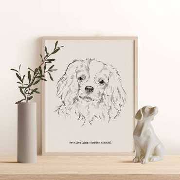 plakat w ramie pies cavalier spaniel