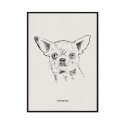 plakat z psem chihuahua