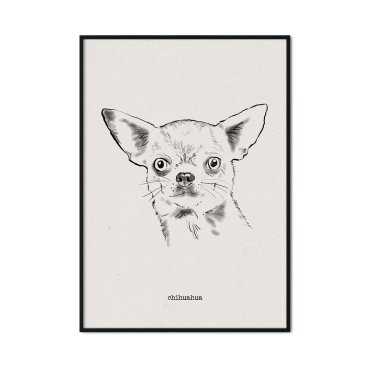 plakat z psem chihuahua