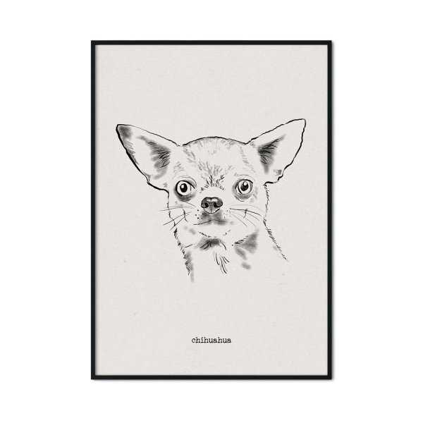 plakat z psem chihuahua