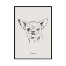 plakat z psem chihuahua