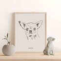 pies chihuahua