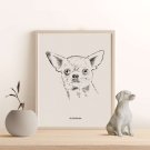 pies chihuahua