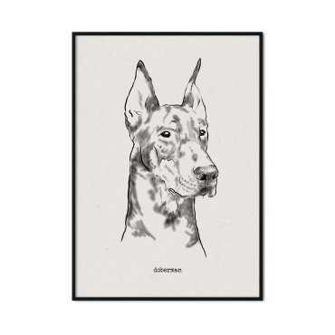 plakat z psem rasy doberman