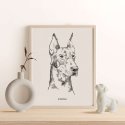 pies doberman