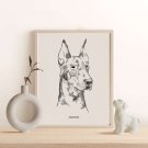 pies doberman pies doberman