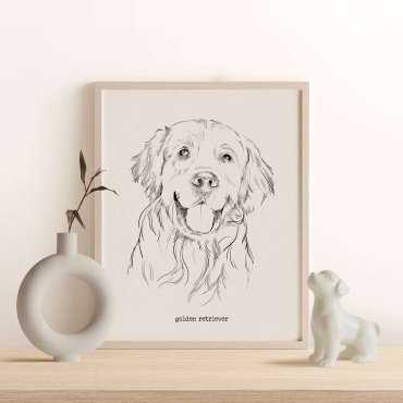 pies golden retriever