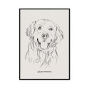 pies golden retriever