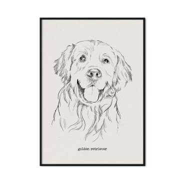 pies golden retriever