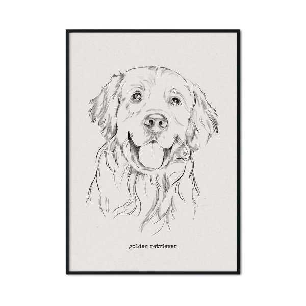 pies golden retriever