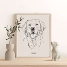 plakat z labradorem