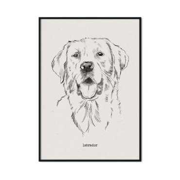pies labrador