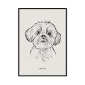 plakat z psem rasy shih tzu