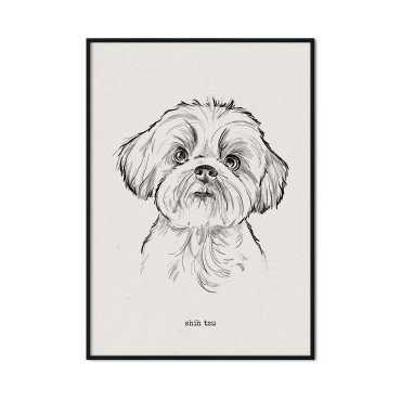 plakat z psem rasy shih tzu