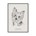plakat z psem yorkshire terrier