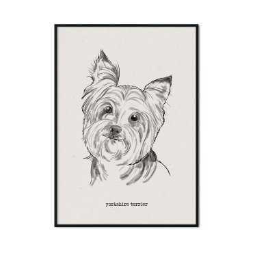 plakat z psem yorkshire terrier