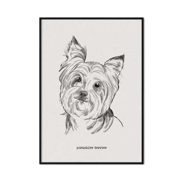 plakat z psem yorkshire terrier