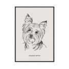 plakat z psem yorkshire terrier