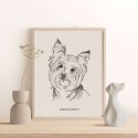 pies yorkshire terrier
