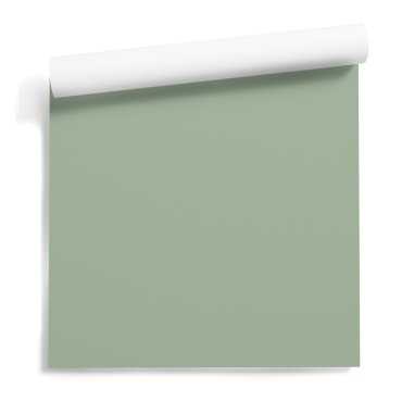 tapeta na ścianę sage green