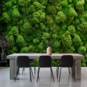 tapeta ścienna reindeer moss wall
