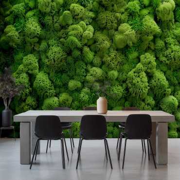 tapeta ścienna reindeer moss wall