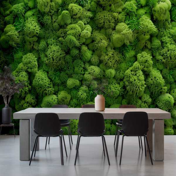 tapeta ścienna reindeer moss wall