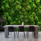 tapeta ścienna reindeer moss wall