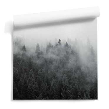 Forest Design