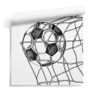 Football Goal Football Goal