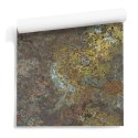 Rusty Wall