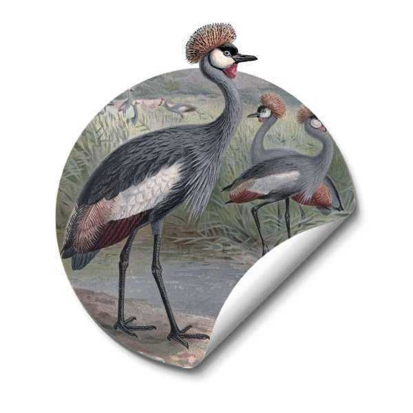 Birdy Crowns Birdy Crowns