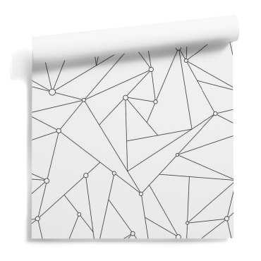 Geometric Technology