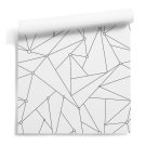 Geometric Technology Geometric Technology