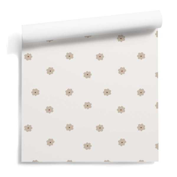 Beige Daisy Beige Daisy