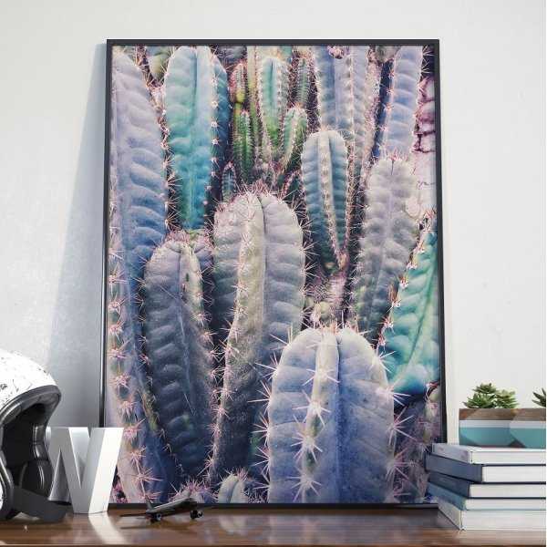 Plakat w ramie - Cacti Rainbow