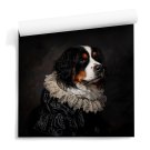 Tapeta ścienna Noble Paws