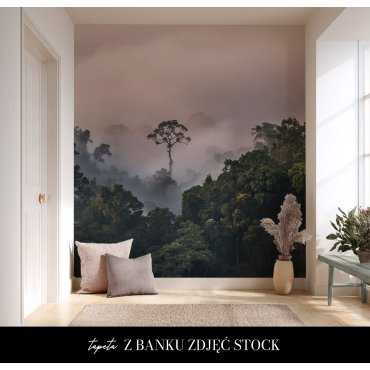 tapeta ze stock