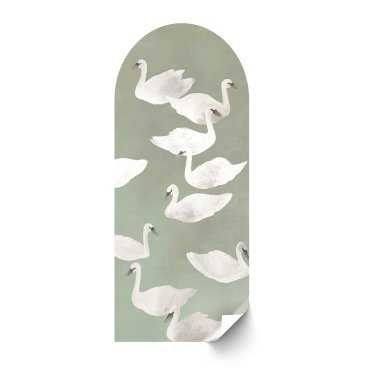 Tapeta łuk - SWAN DREAM