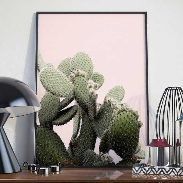 Plakat w ramie - Pink Cacti Plakat w ramie - Pink Cacti