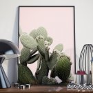Plakat w ramie - Pink Cacti Plakat w ramie - Pink Cacti