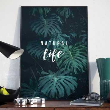 Plakat w ramie - Natural Life