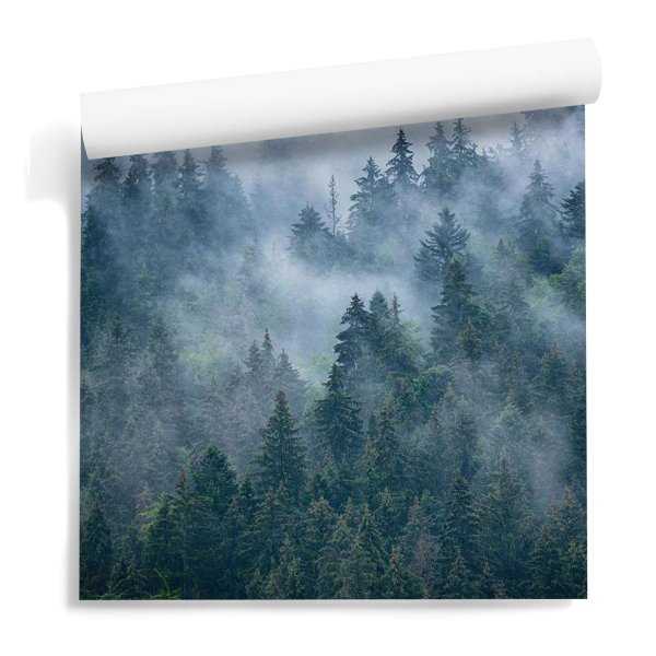 Foggy Forest