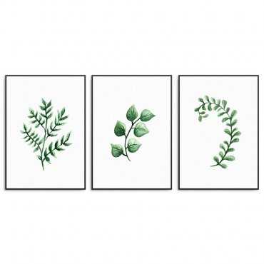 Zestaw trzech plakatów - Herbal Art