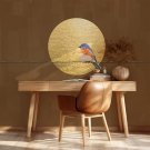 Złota Tapeta - Golden Perch