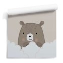 Cloudy Bear