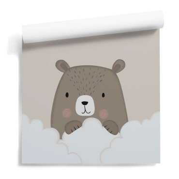 Cloudy Bear